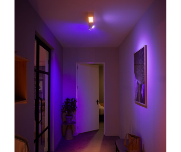 Philips Hue Plafonnier connecté CENTRIS - 2 spots - Noir - White & Color Ambiance